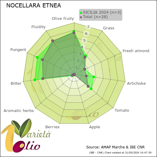 Profilo sensoriale medio della cultivar  SICILIA 2024